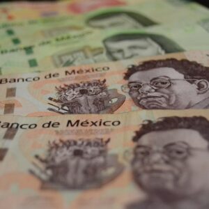 money, economy, cash, ticket, wealth, mexicans, mexican peso, weight, currency, finance, saving, mexico, history, colors, mexican peso, mexican peso, mexican peso, mexican peso, mexican peso